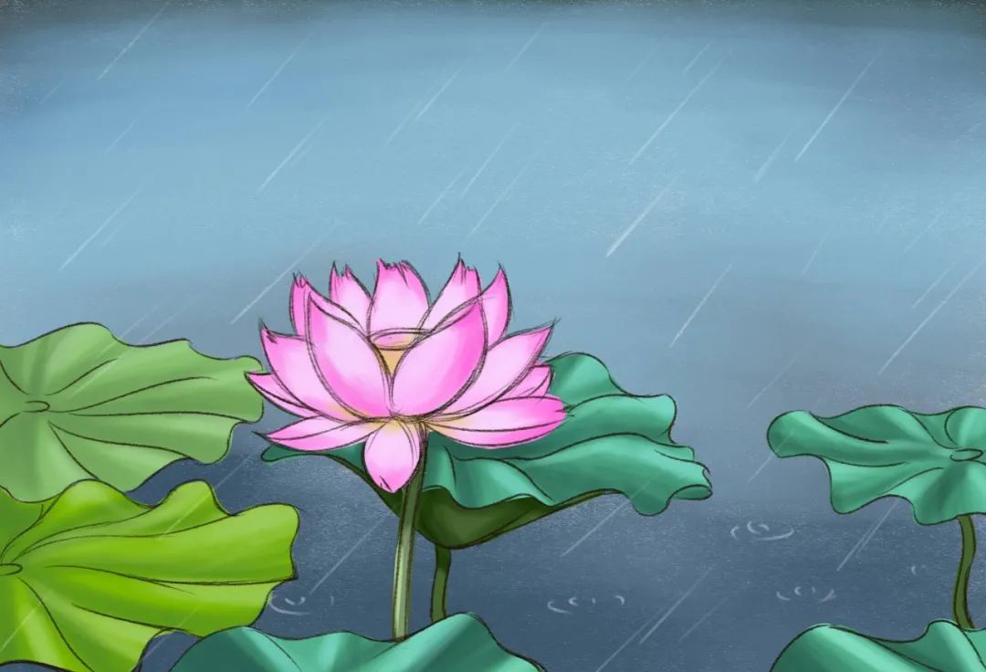 红色扎西(微信)