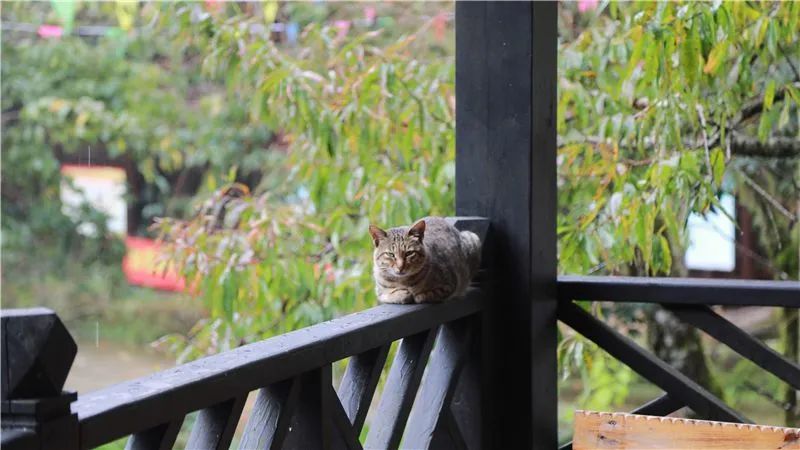 红河文旅(微信)