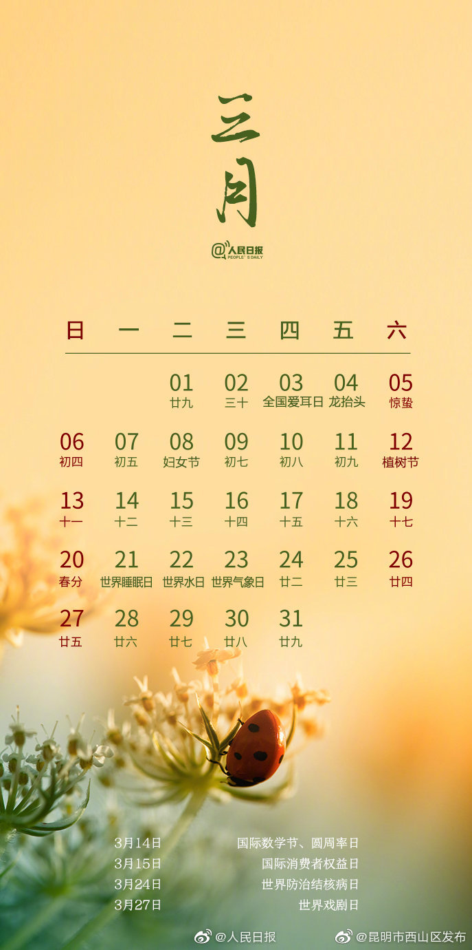 “昆明市西山区发布”微博