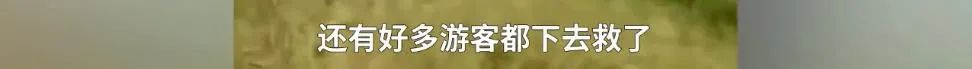 春城晚报(微信)
