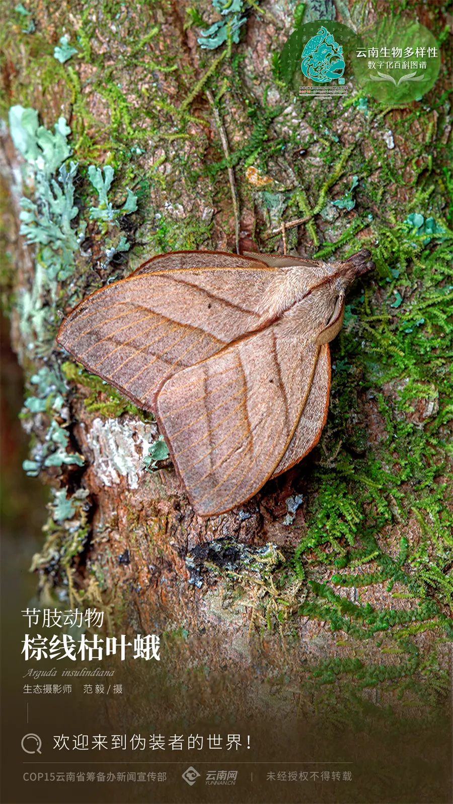 云南省人民政府网