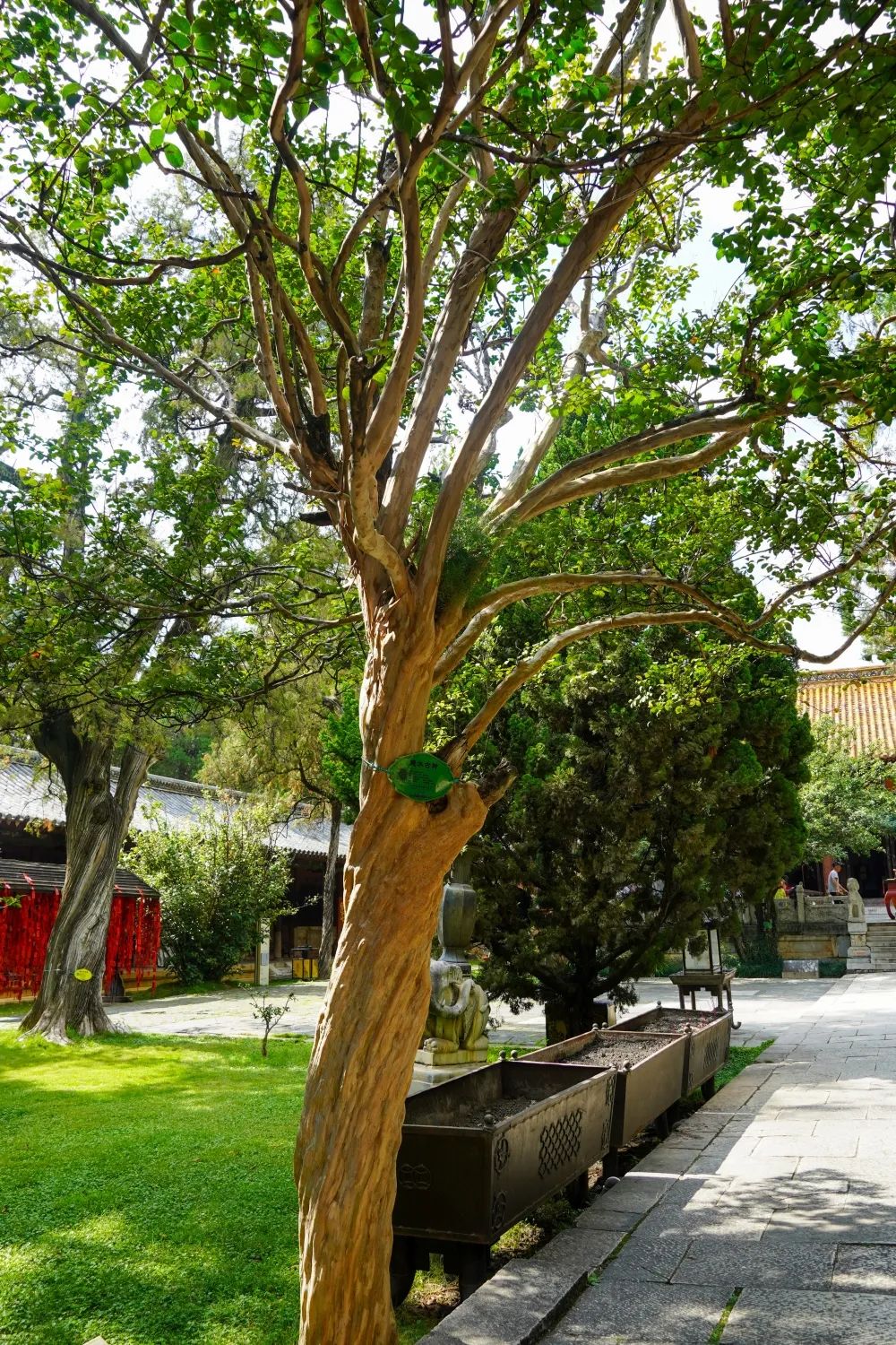 红河文旅(微信)