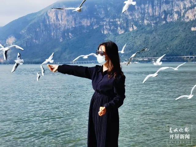 昆明滇池国家旅游度假区管理委员会(微信)