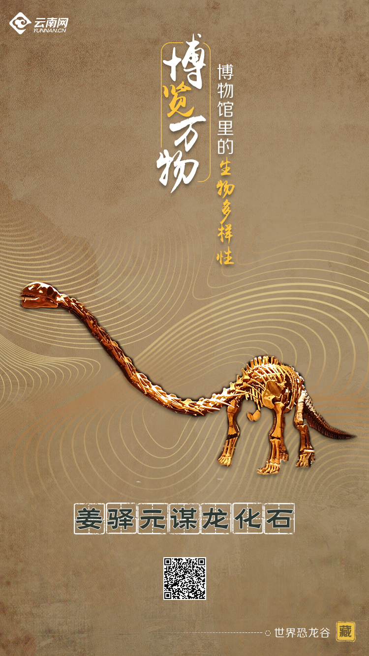 玉溪发布(微信)