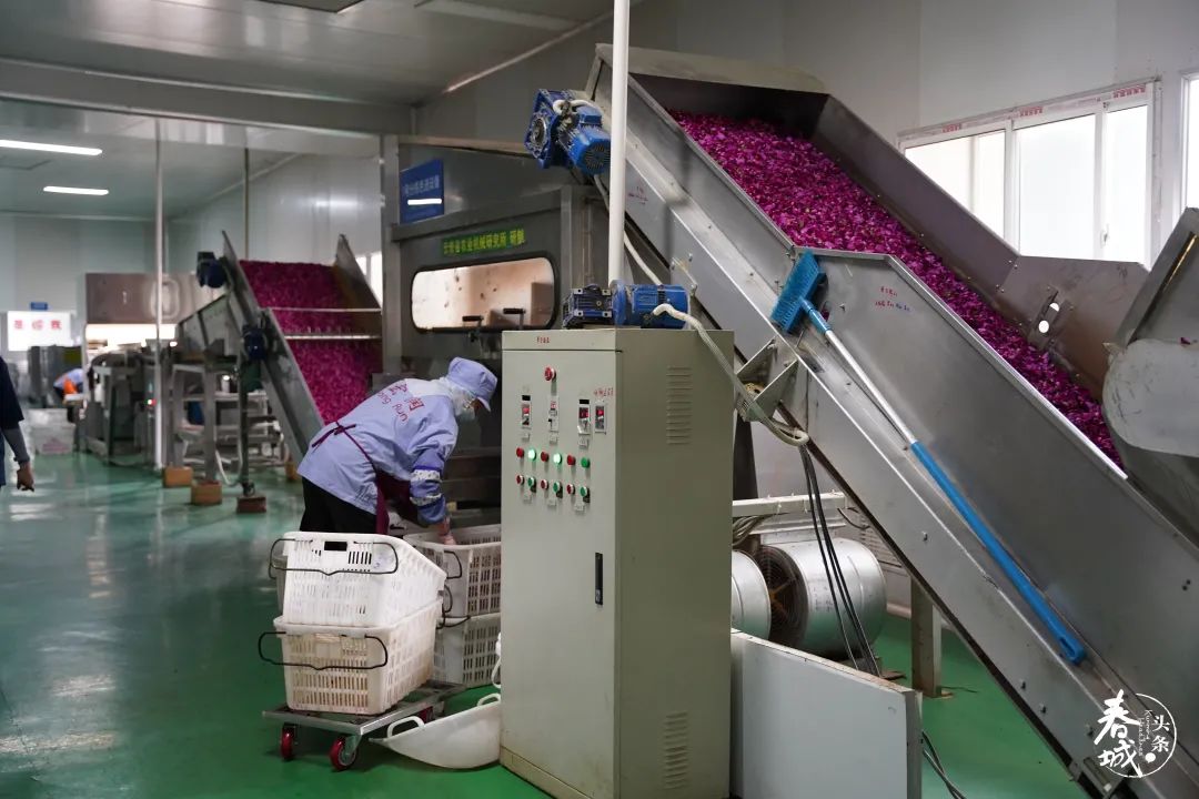 昆明发布(微信)