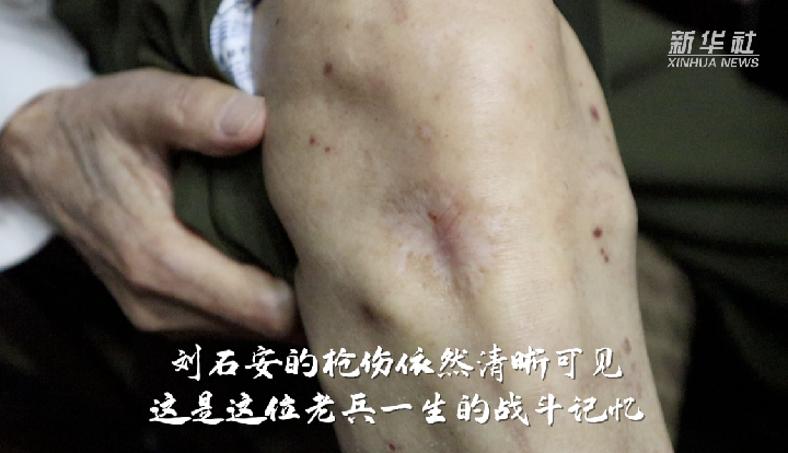 春城晚报(微信)