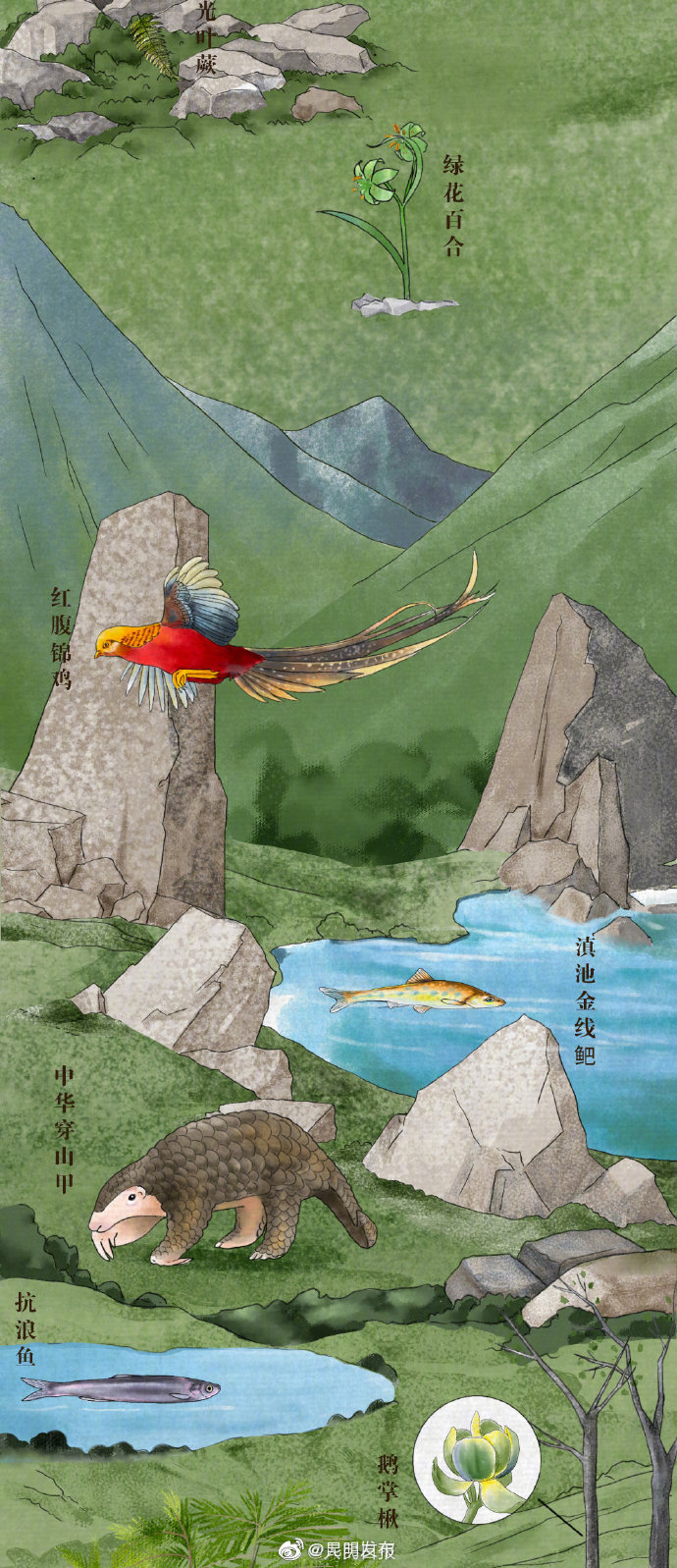 “昆明发布”微博