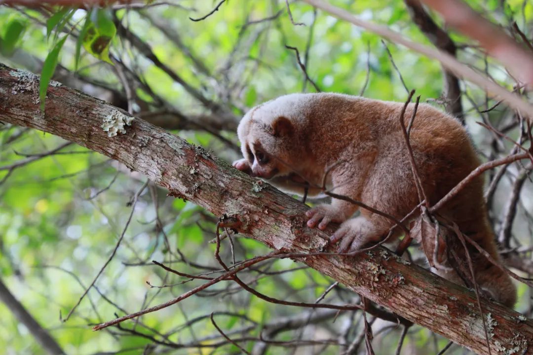 普洱日报(微信)