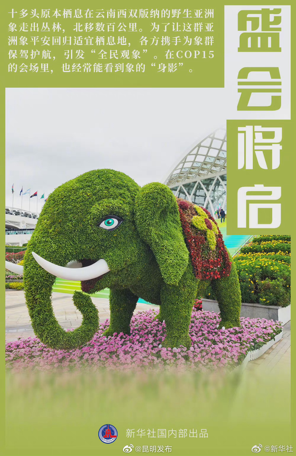 “昆明发布”微博