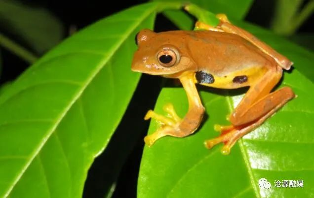 云南广播电视台(微信)