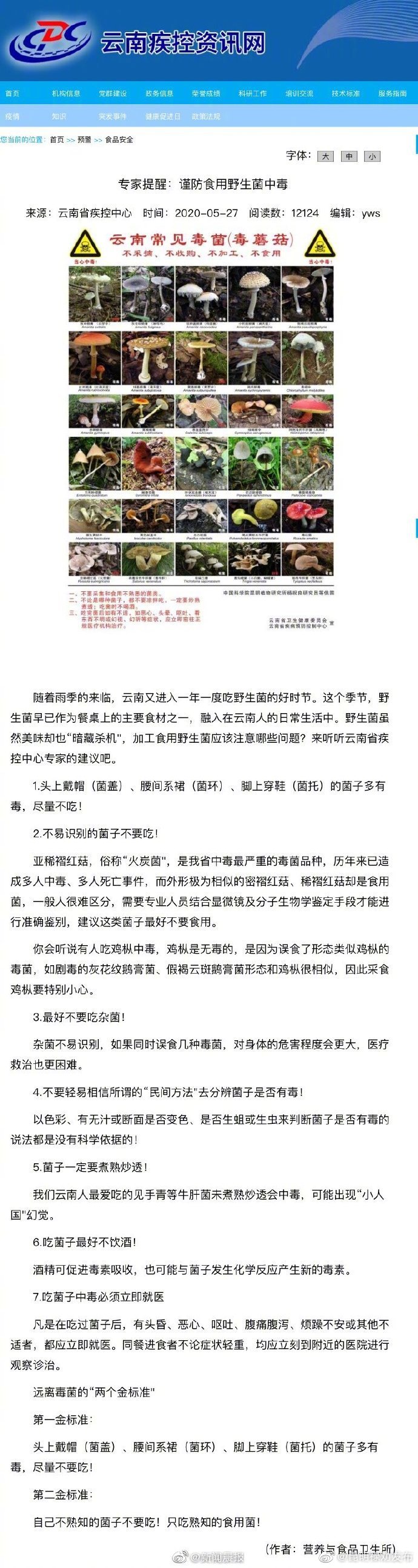 注意！这些野生菌有毒不采不食