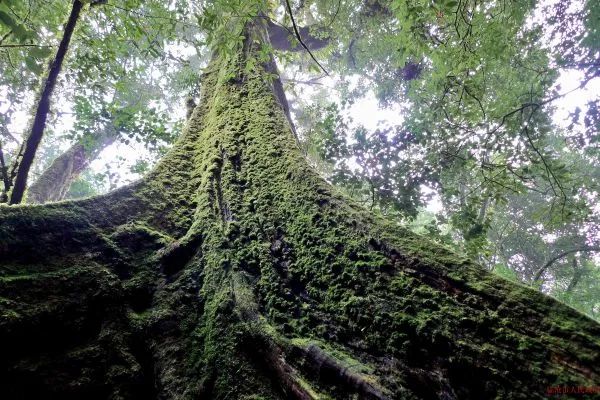 云南广播电视台(微信)