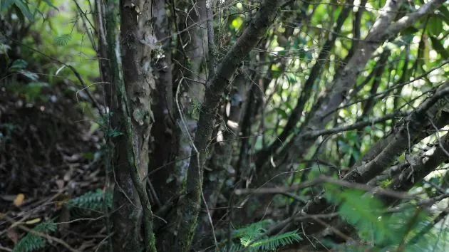 保山新闻网(微信)