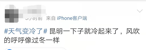 掌上春城(微信)