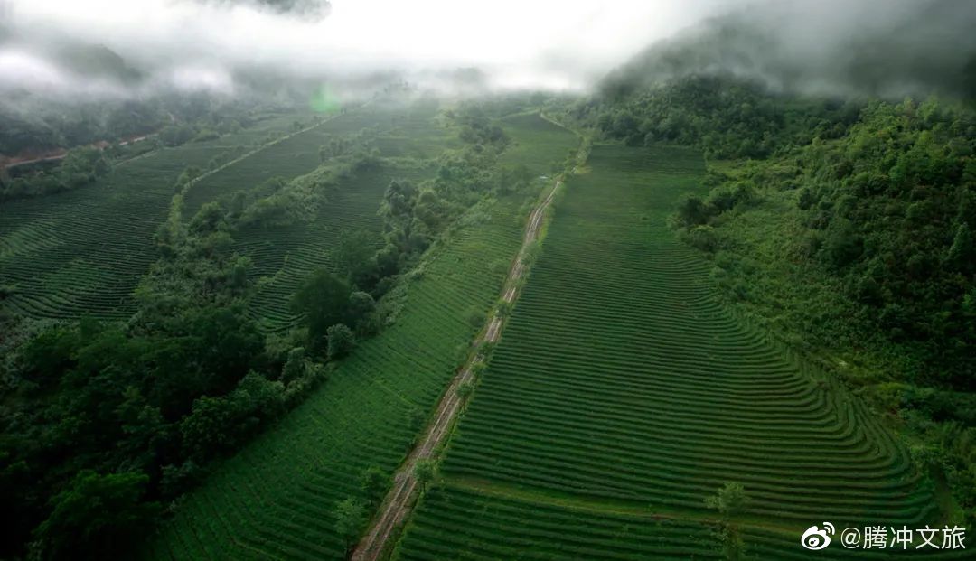 腾冲文旅微博