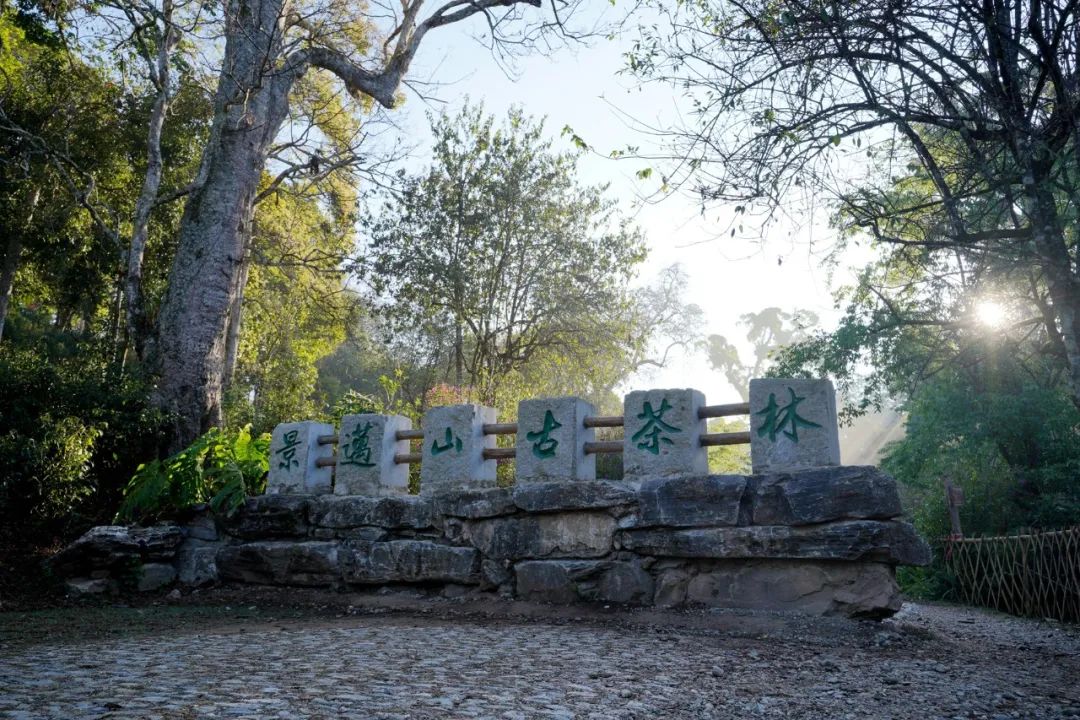 普洱日报