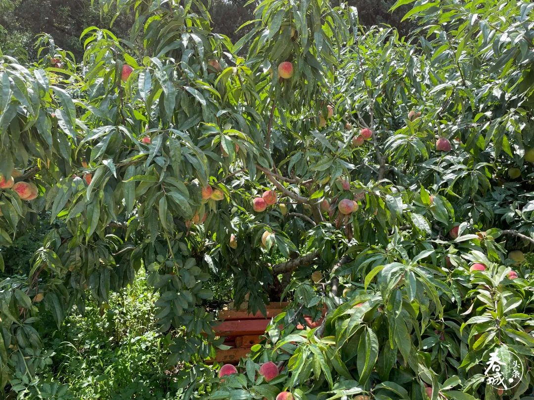 昆明发布(微信)