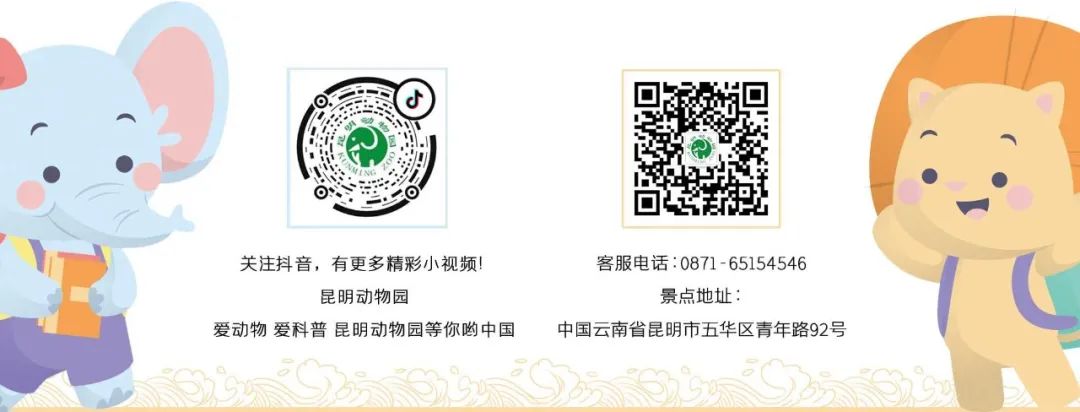 昆明动物园