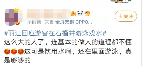 春城晚报(微信)