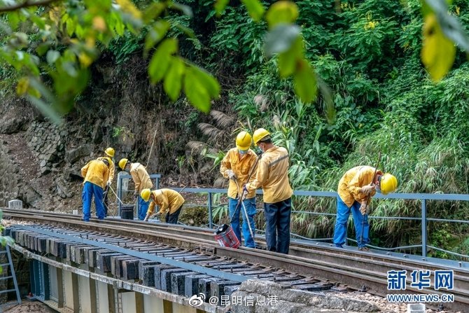 昆明信息港微博