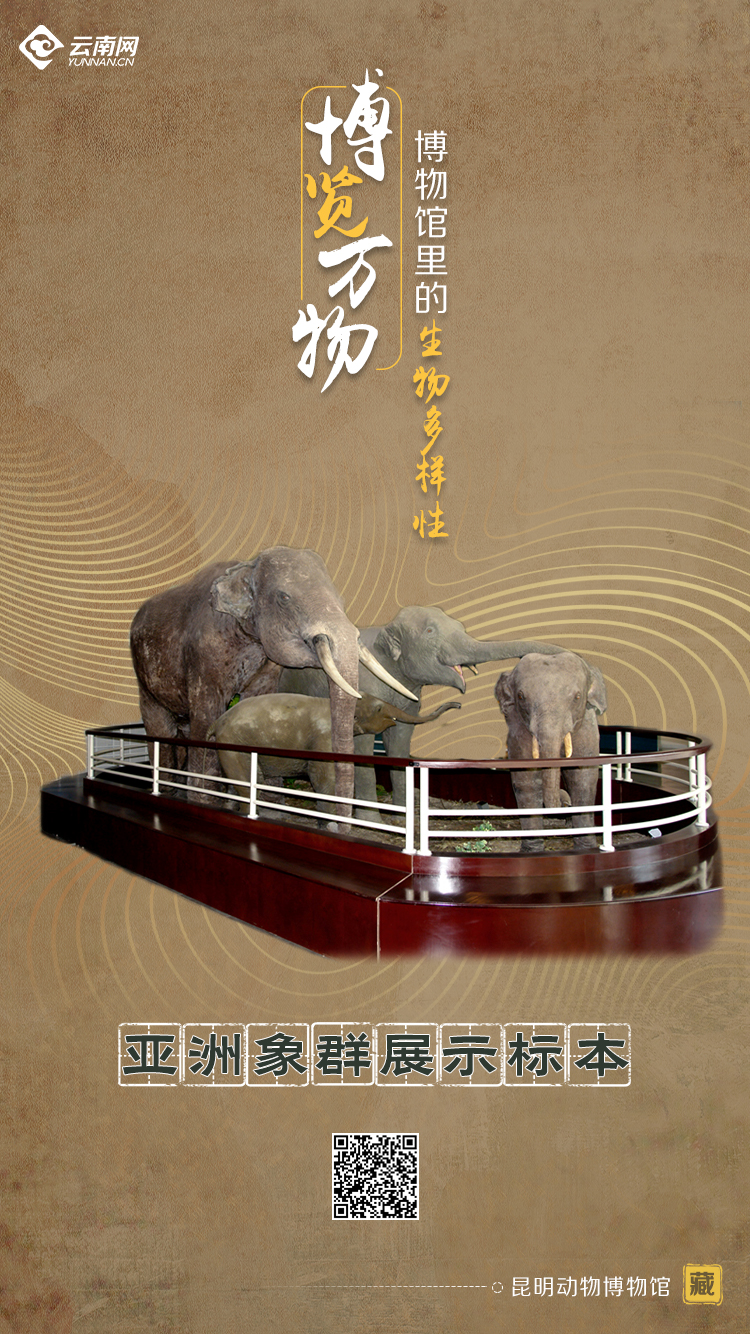 玉溪发布(微信)