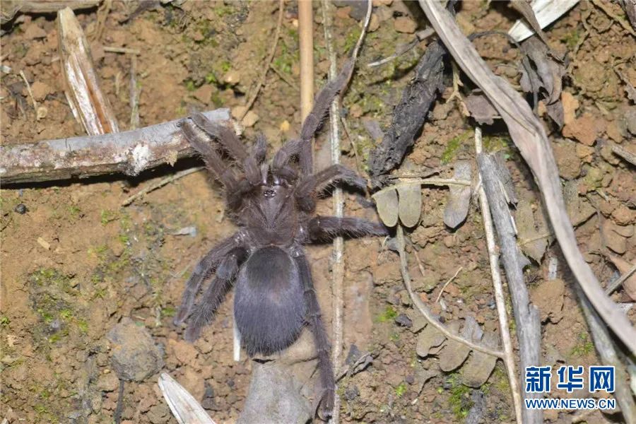 云南广播电视台(微信)