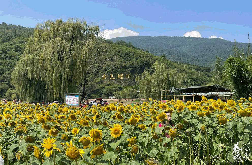 昆明发布(微信)