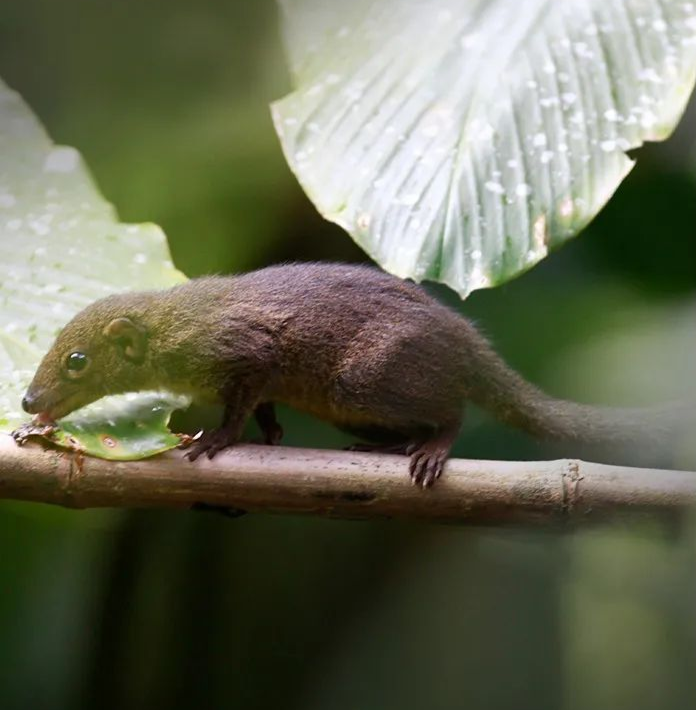 云南广播电视台(微信)