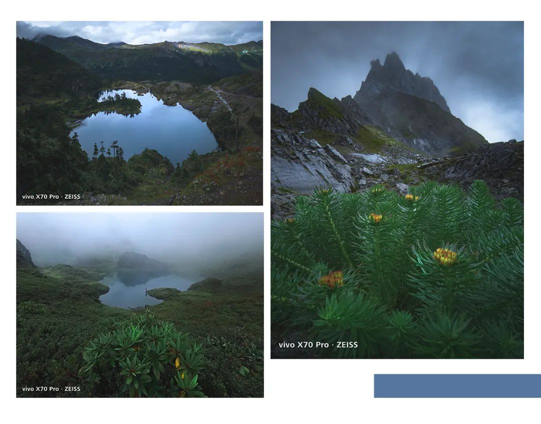 春城晚报(微信)