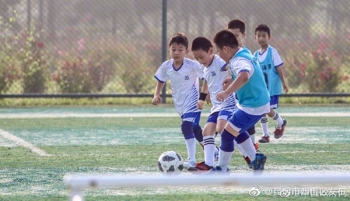 体育总局办公厅关于做好课外体育培训行业服务监管工作的通知