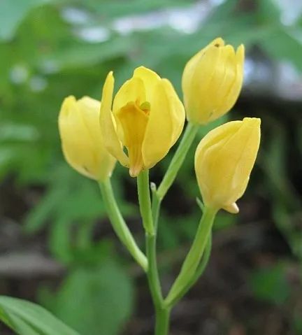 云南广播电视台(微信)