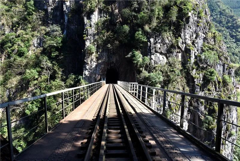 红河文旅(微信)