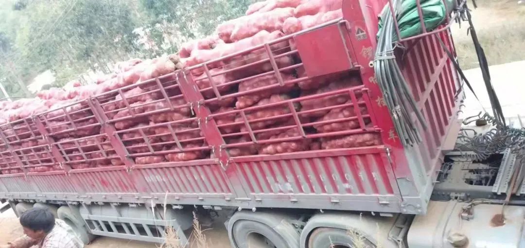 丽江日报(微信)