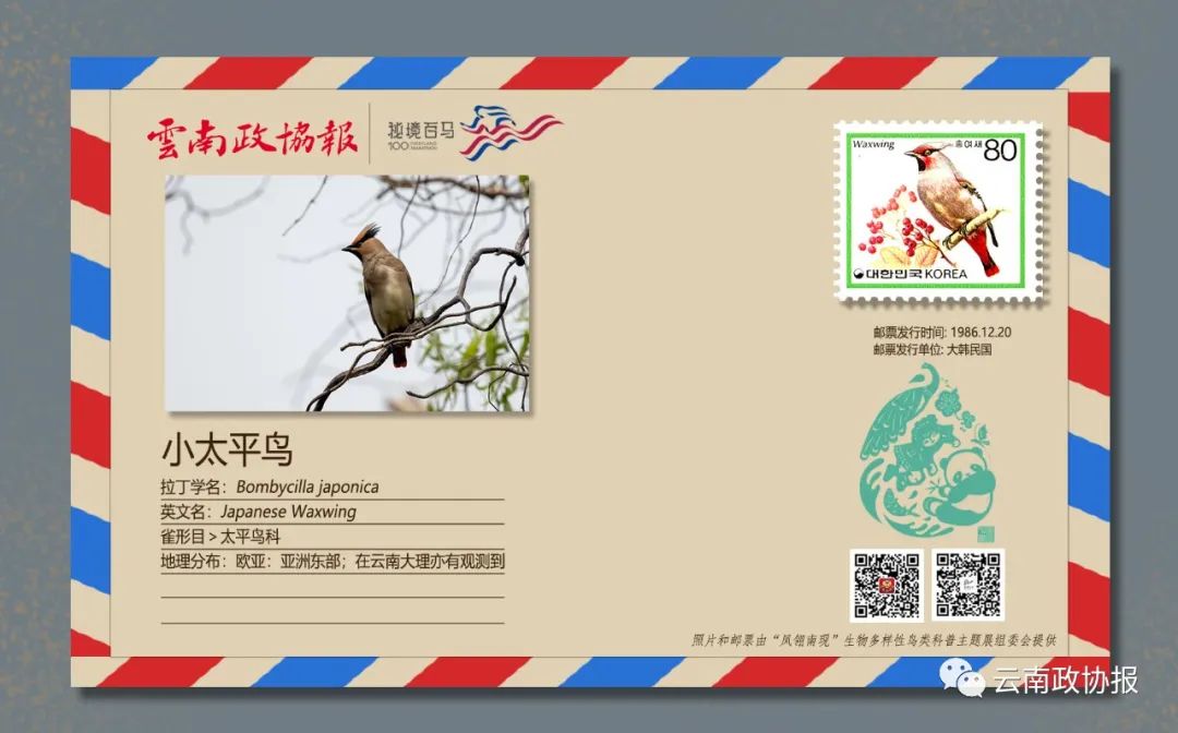 云南政协报(微信)