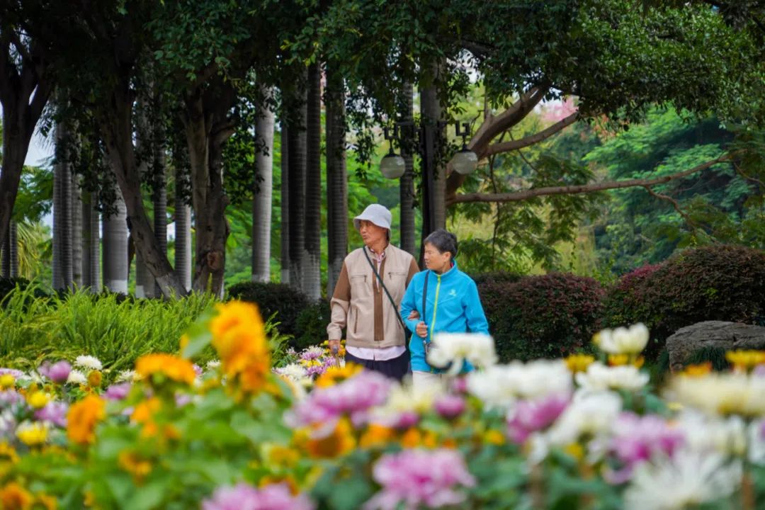 红河文旅(微信)