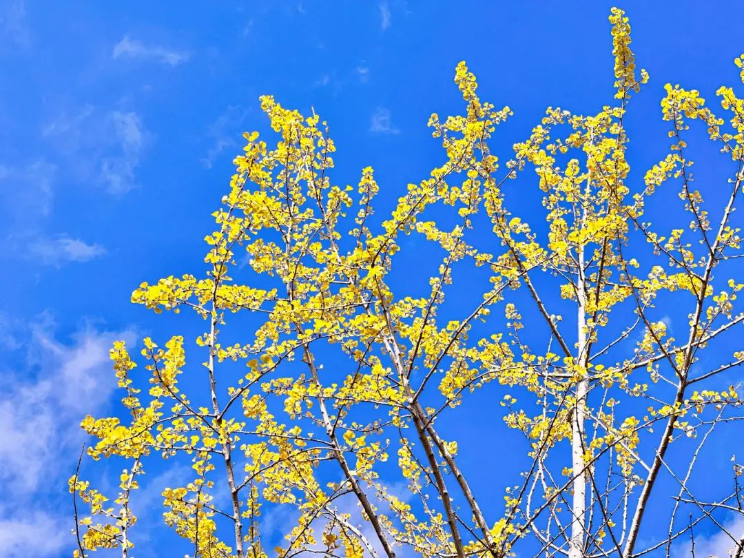 昆明滇池国家旅游度假区管理委员会(微信)