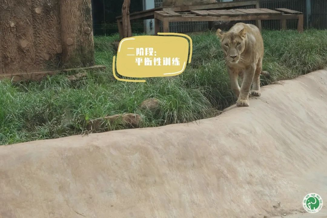 昆明动物园