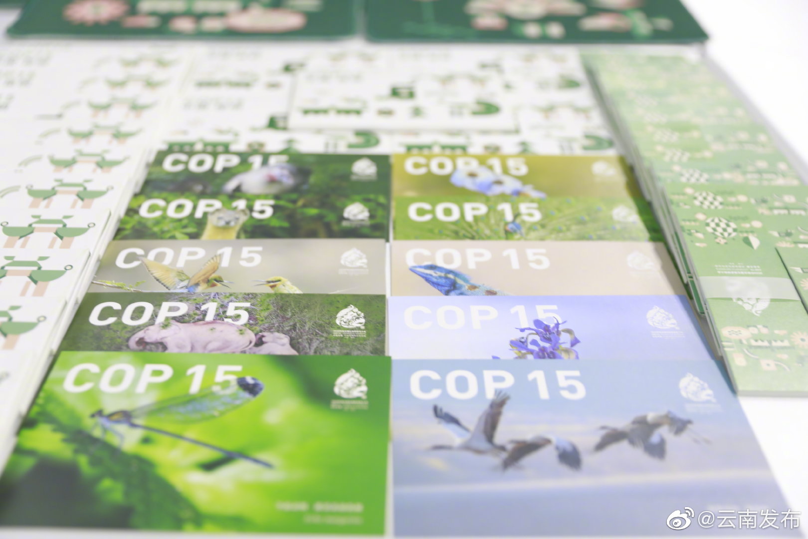 “云南发布”微博