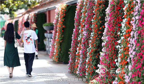 昆明信息港微博