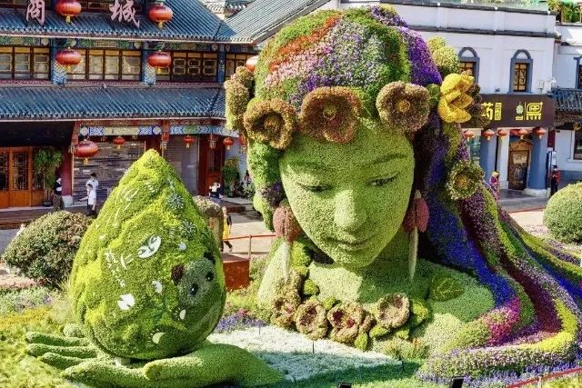 春城晚报(微信)