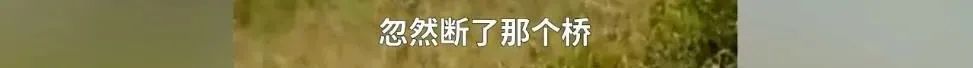 春城晚报(微信)