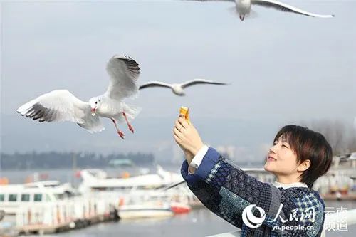 昆明发布(微信)