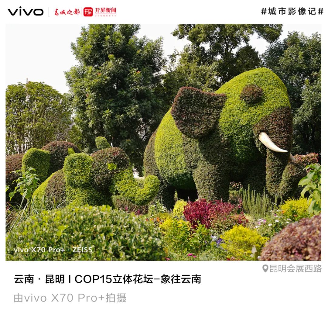 春城晚报(微信)