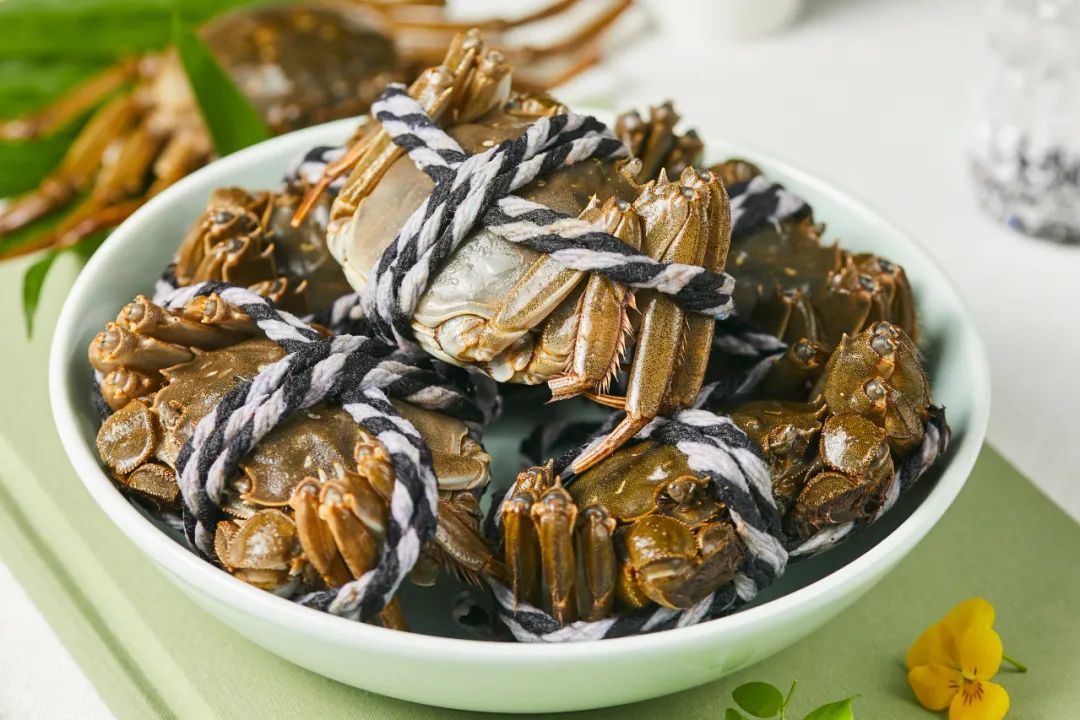 云南中医(微信)