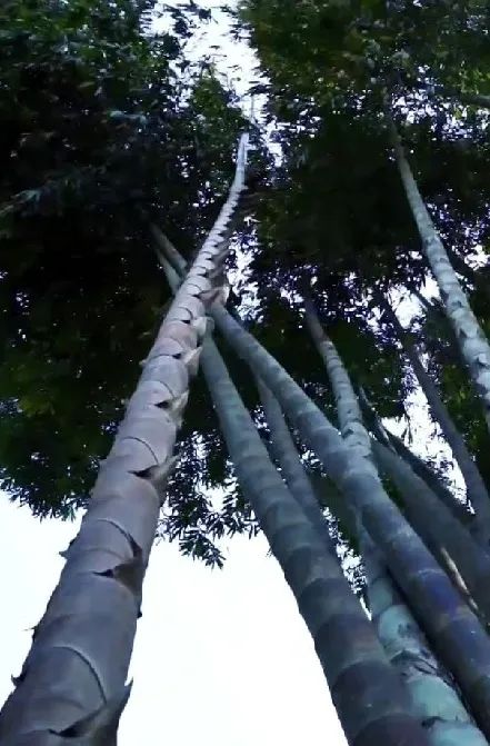 云南广播电视台(微信)