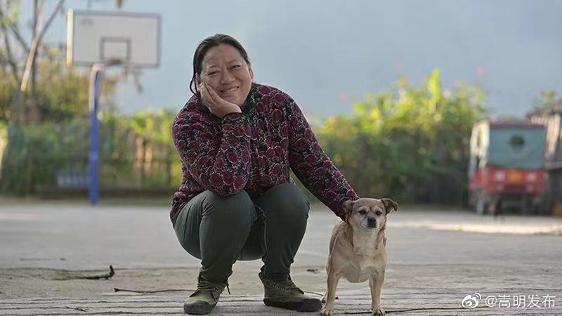 嵩明发布
