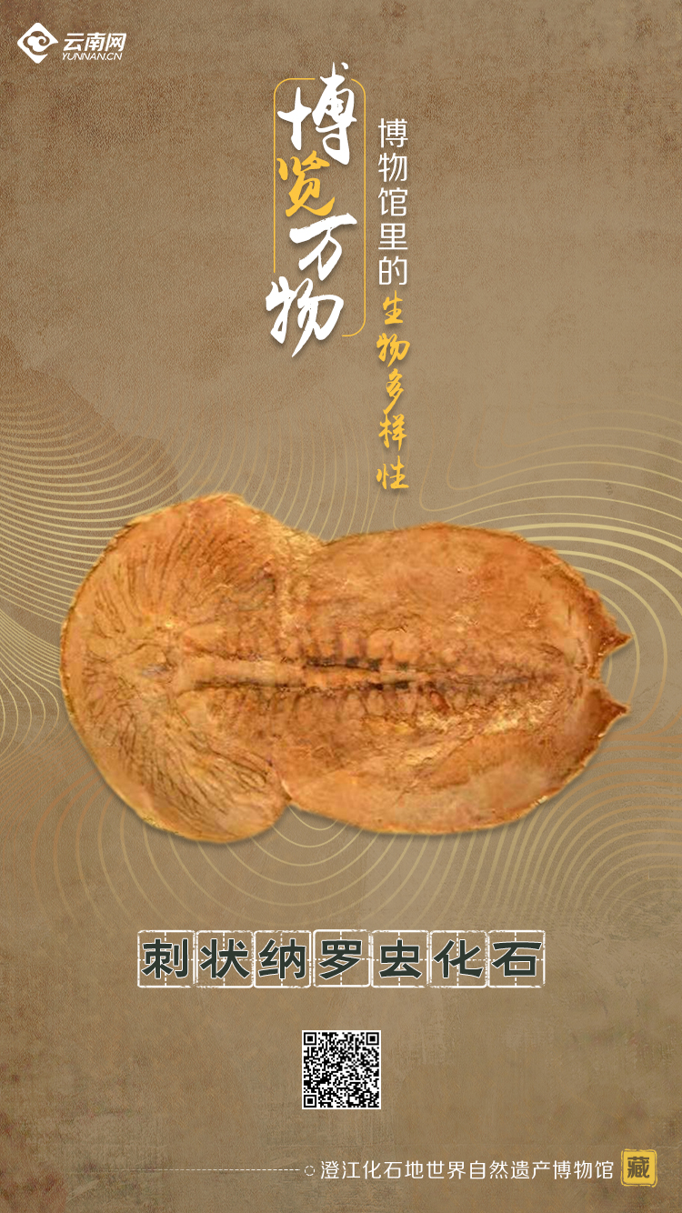 玉溪发布(微信)