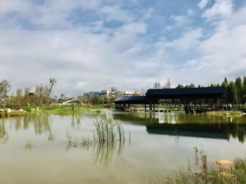 盘龙共青团(微信)