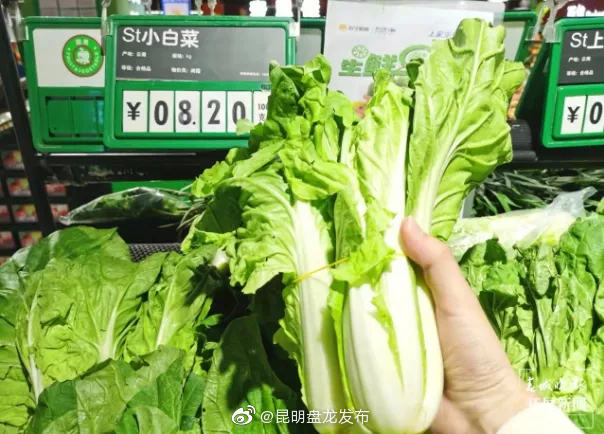 昆明盘龙发布
