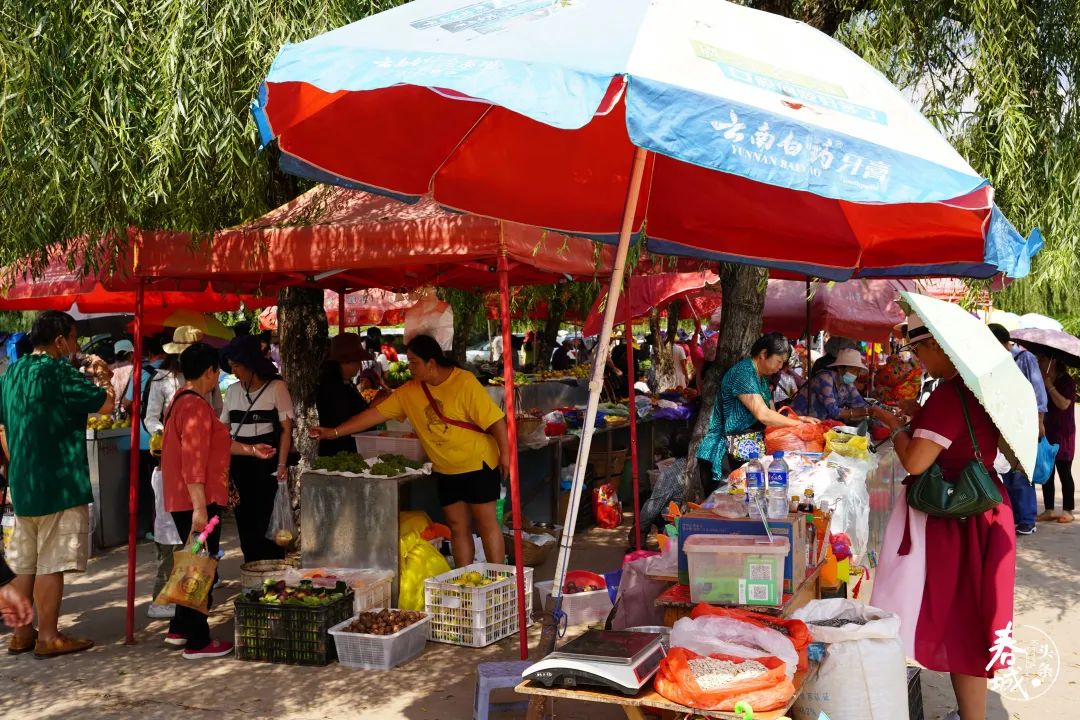 昆明发布(微信)